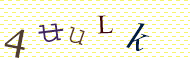 CAPTCHA code